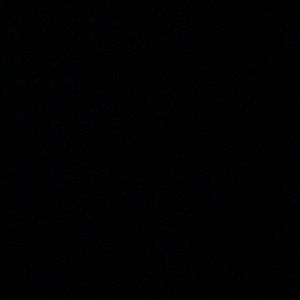 Meet your Posher, Ray